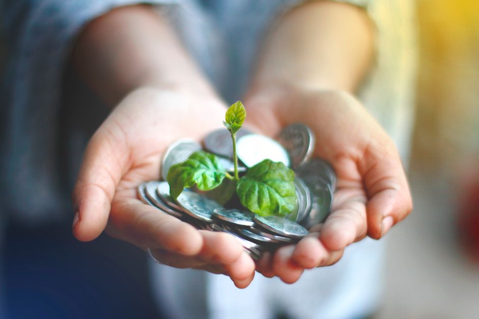 A growing plant over coins representing green finance and capital