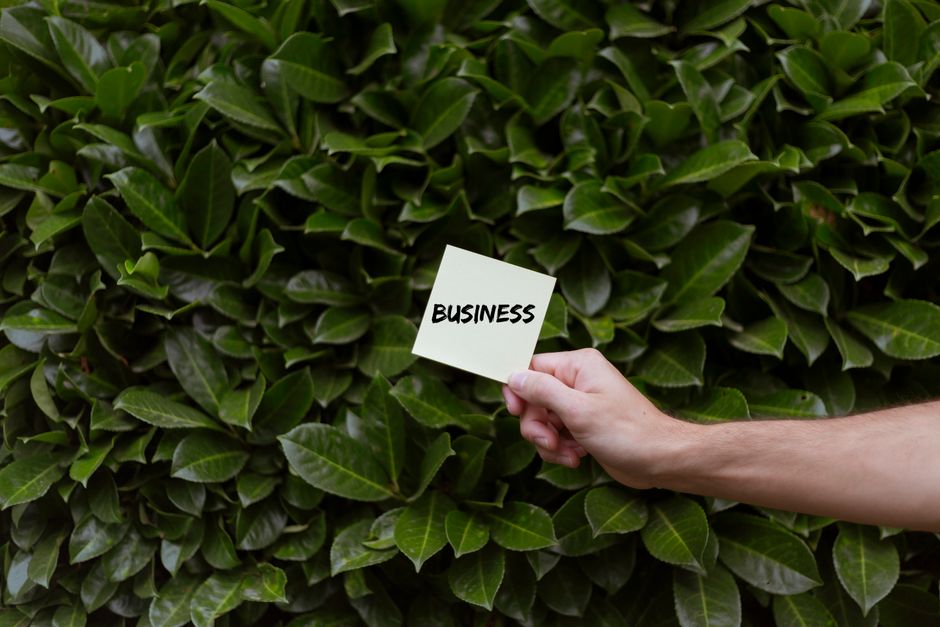 Green leaf representing sustainability and ESG