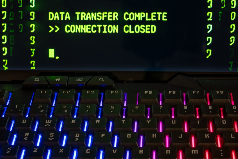 A system terminal running independent node verification code and blockchain queries